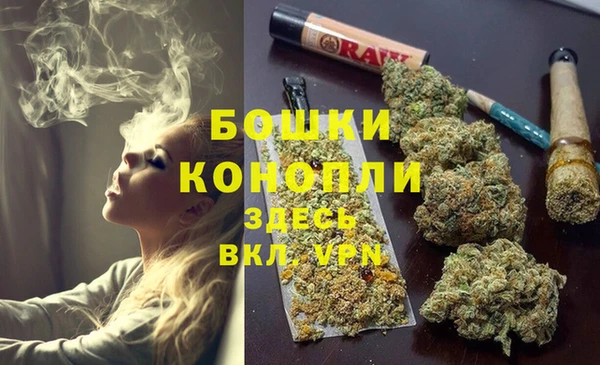 гидра Кодинск