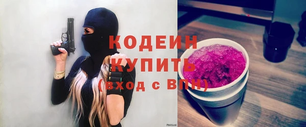 гидра Кодинск