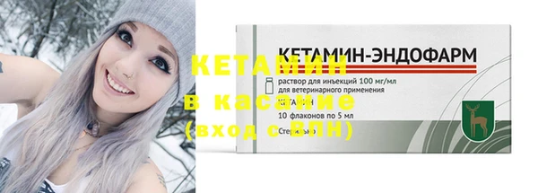 стафф Касимов