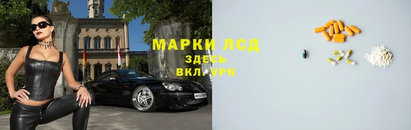 ГАЛЛЮЦИНОГЕННЫЕ ГРИБЫ Карпинск