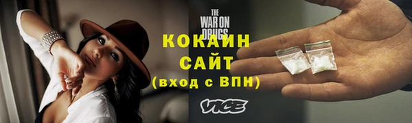 стафф Касимов