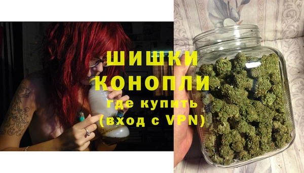 стафф Касимов