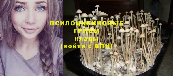 MESCALINE Каменногорск