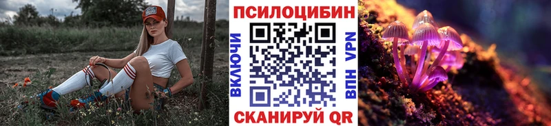 Псилоцибиновые грибы GOLDEN TEACHER  купить   мега ТОР  Элиста 