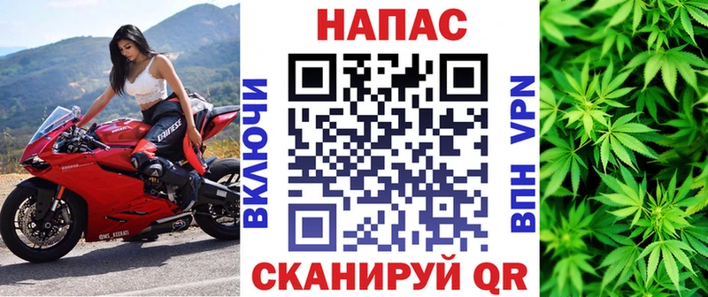 купить закладку  Элиста  Каннабис сатива 